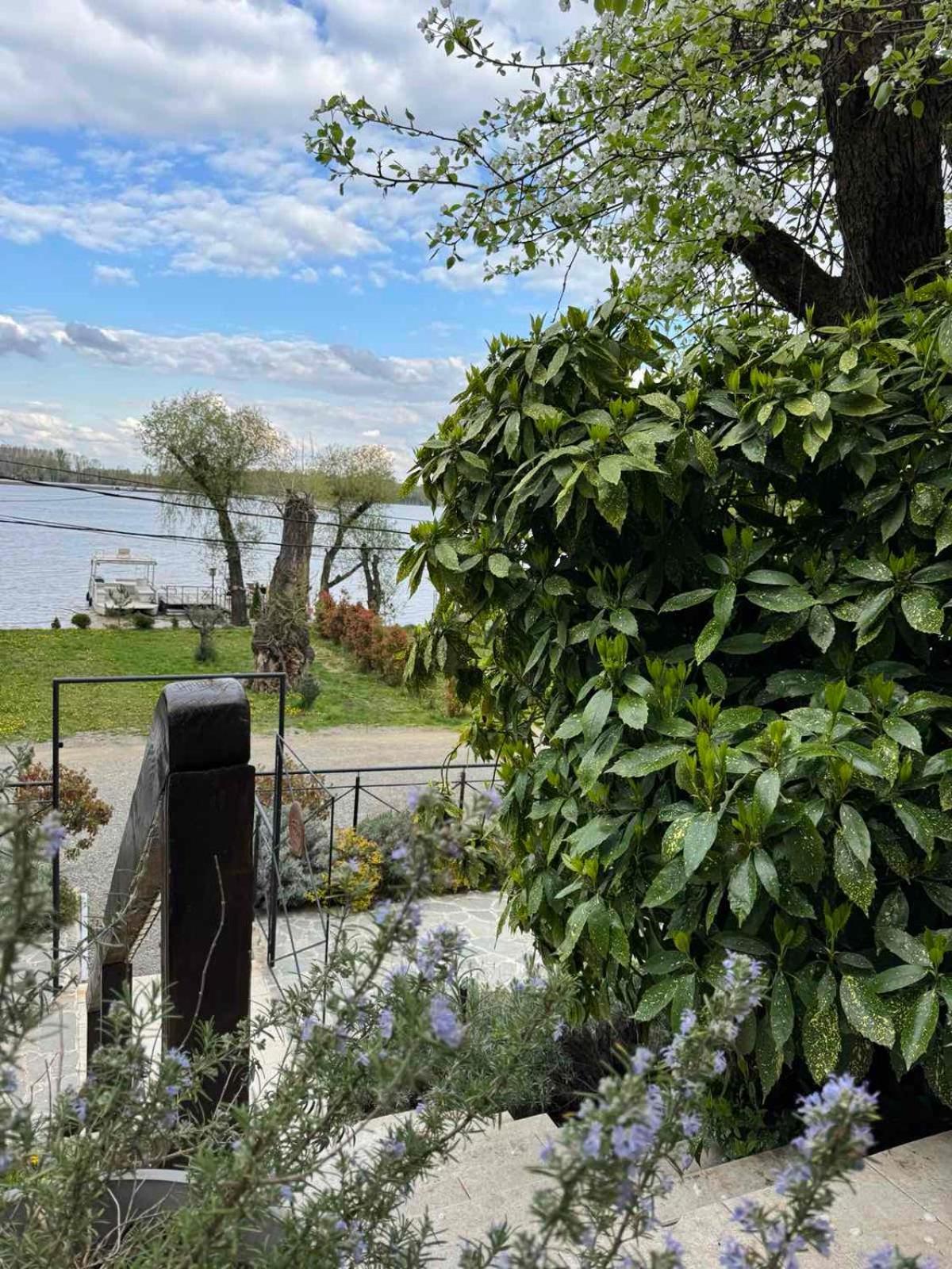 Bora Kuce Na Reci Villa Belgrad Exteriör bild